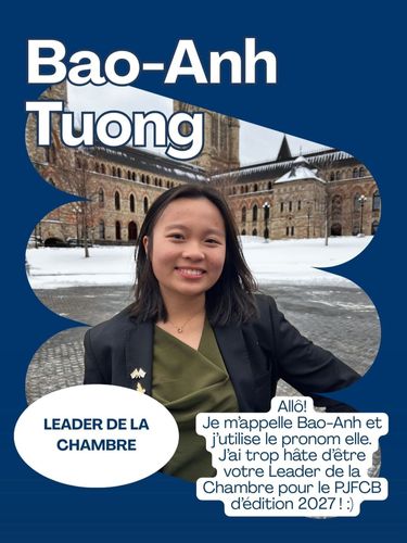FB & site web Bao-Anh_resultat.jpg