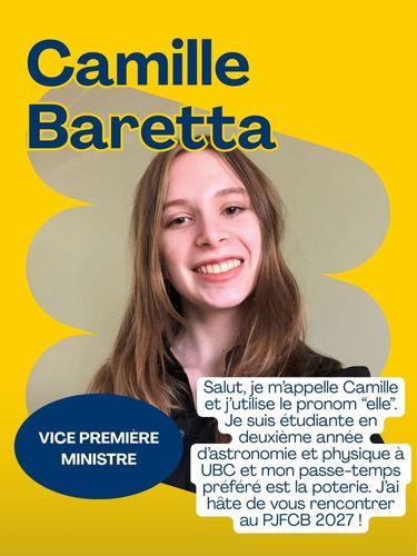 FB & site web Camille_resultat.jpg